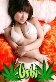 Ushi