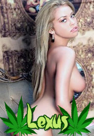 She's one of the independent Las Vegas escorts you'll love!